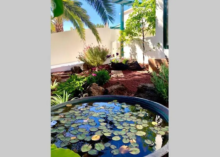 Unique, Stylish & Calm El Estanque By The Sea, Adults Only