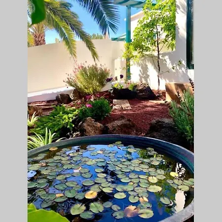 Unique, Stylish & Calm El Estanque By The Sea, Adults Only